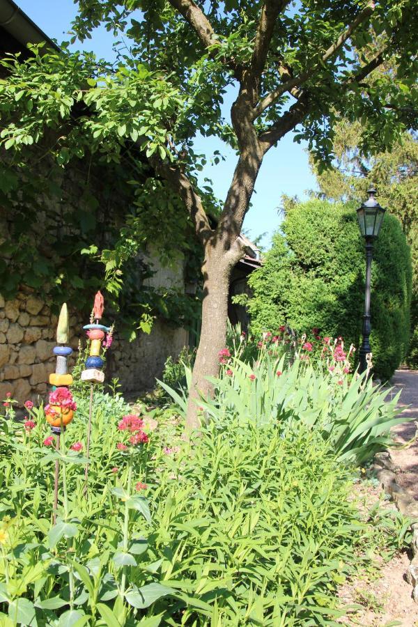 Bio-Weingut, Gaestehaus Und Kraeuterhof Flomborn Экстерьер фото