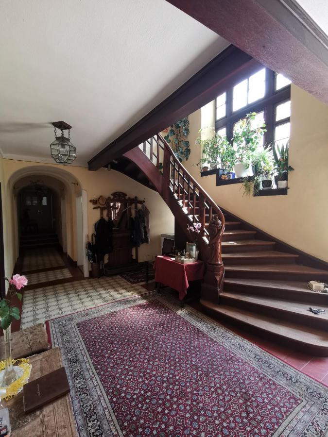 Bio-Weingut, Gaestehaus Und Kraeuterhof Flomborn Экстерьер фото