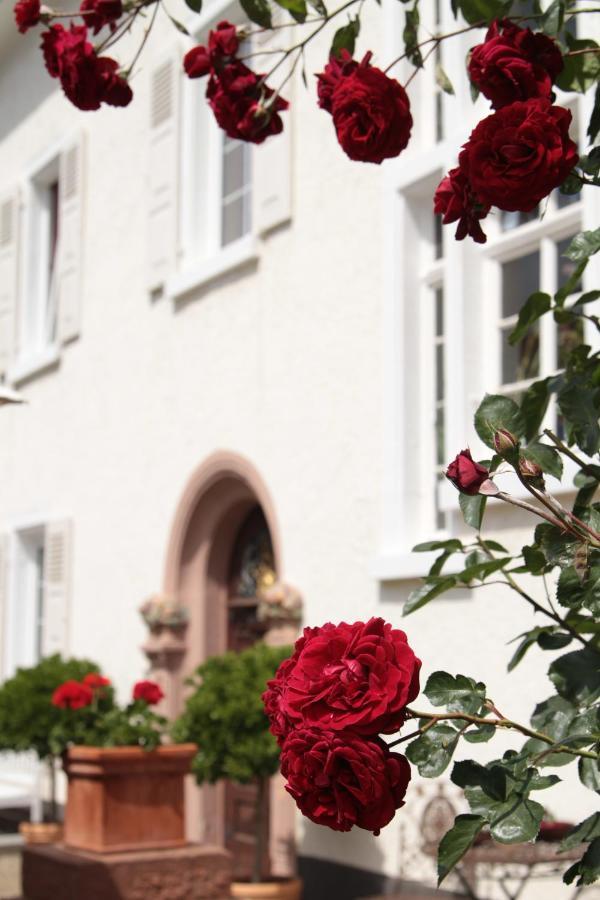 Bio-Weingut, Gaestehaus Und Kraeuterhof Flomborn Экстерьер фото