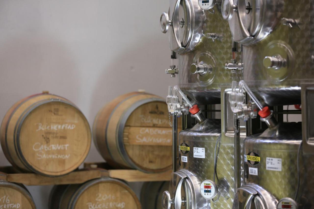 Bio-Weingut, Gaestehaus Und Kraeuterhof Flomborn Экстерьер фото