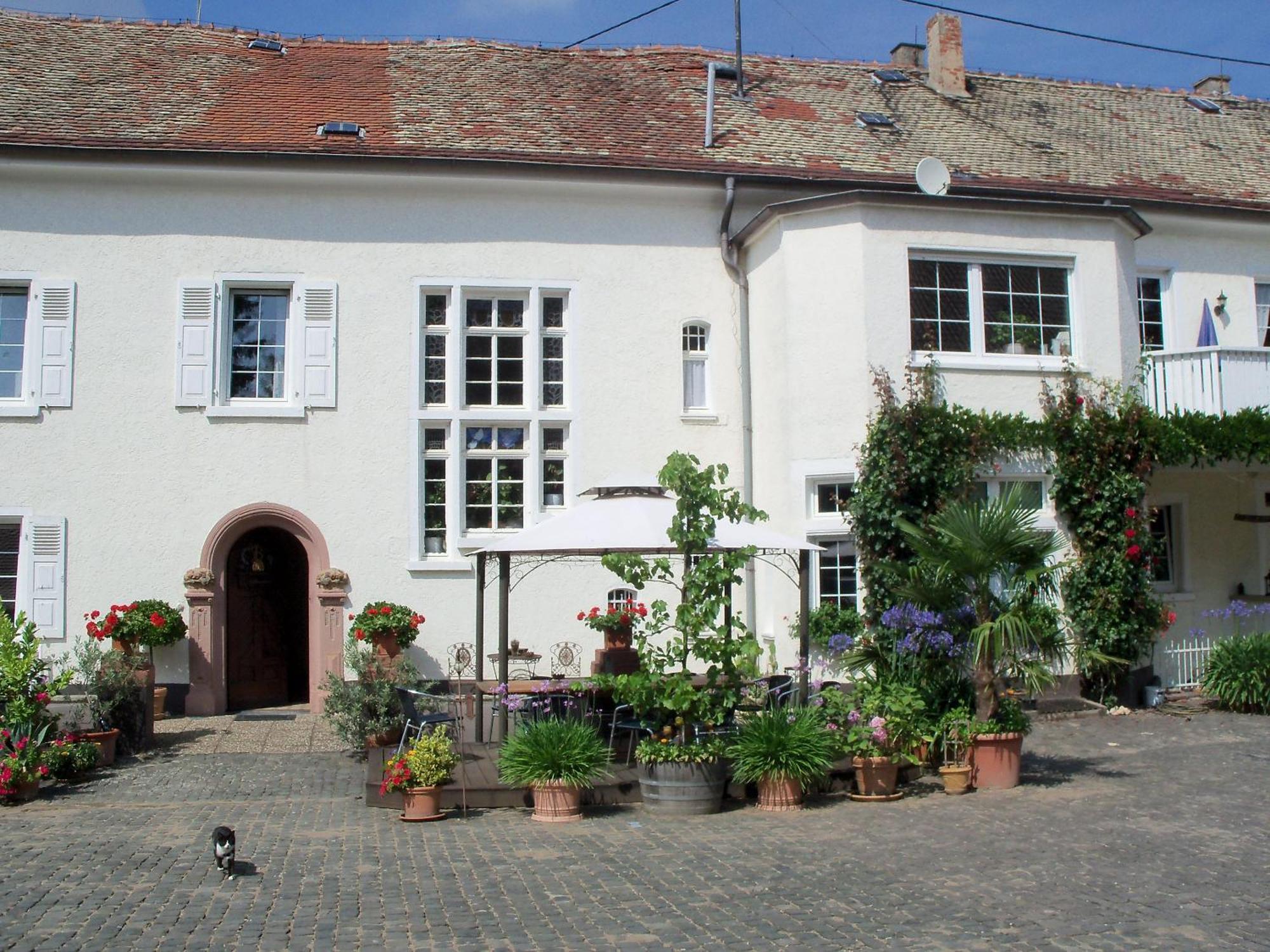 Bio-Weingut, Gaestehaus Und Kraeuterhof Flomborn Экстерьер фото